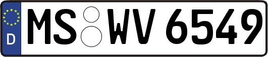 MS-WV6549