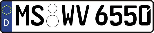 MS-WV6550