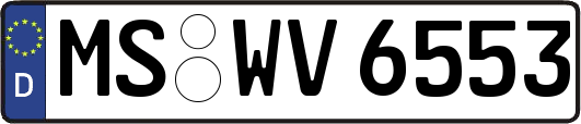 MS-WV6553