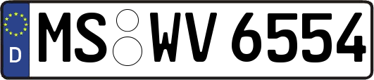 MS-WV6554