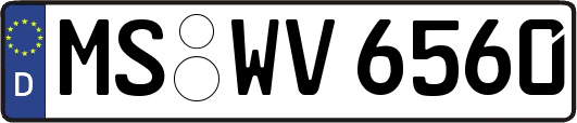 MS-WV6560