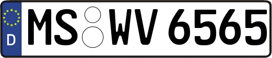 MS-WV6565