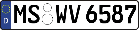 MS-WV6587