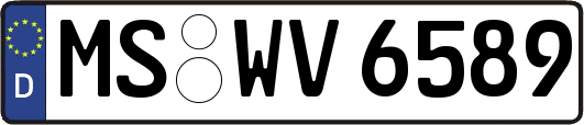 MS-WV6589