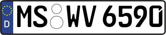 MS-WV6590