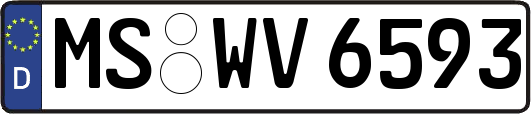 MS-WV6593
