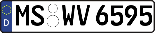 MS-WV6595