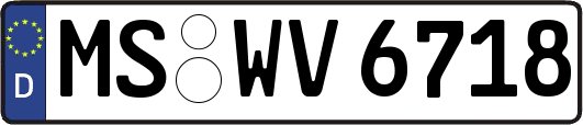 MS-WV6718