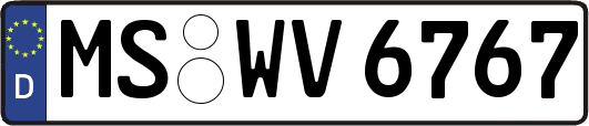 MS-WV6767