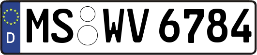 MS-WV6784