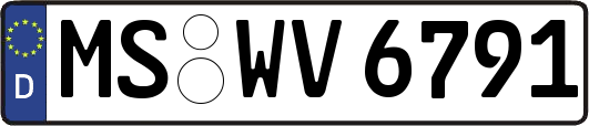 MS-WV6791