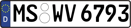 MS-WV6793