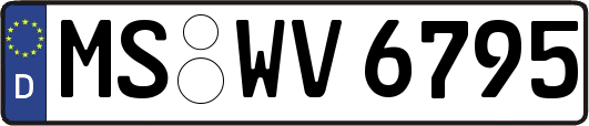 MS-WV6795