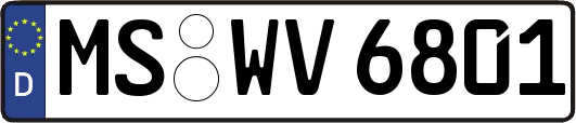MS-WV6801
