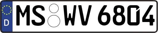 MS-WV6804