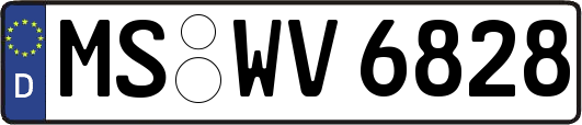 MS-WV6828