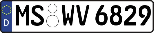 MS-WV6829