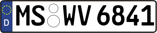 MS-WV6841