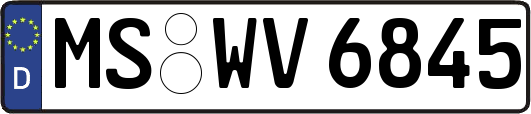 MS-WV6845