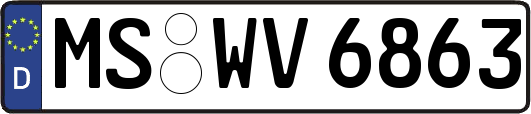 MS-WV6863