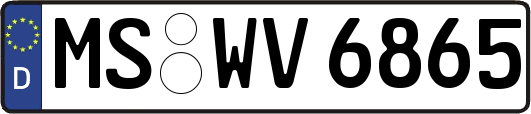 MS-WV6865