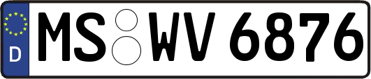 MS-WV6876