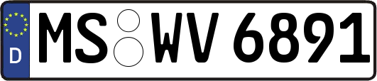 MS-WV6891