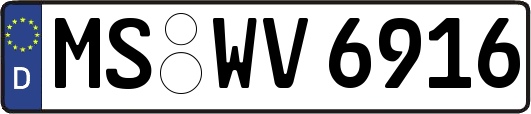 MS-WV6916
