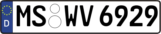 MS-WV6929