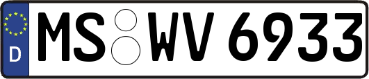 MS-WV6933