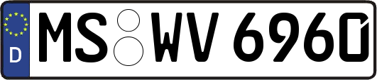 MS-WV6960