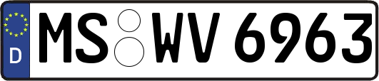 MS-WV6963