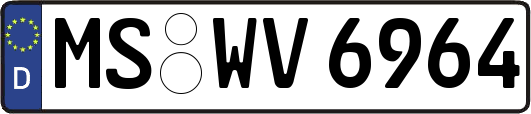MS-WV6964