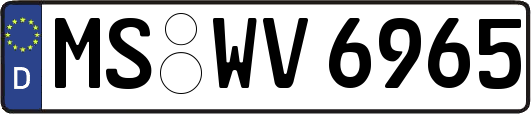 MS-WV6965