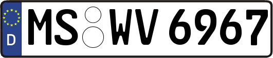MS-WV6967