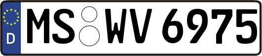 MS-WV6975