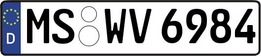 MS-WV6984