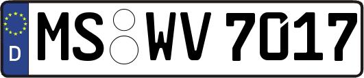 MS-WV7017