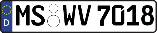 MS-WV7018