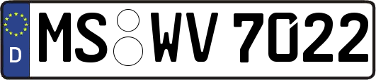 MS-WV7022