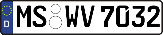 MS-WV7032