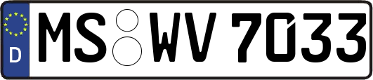 MS-WV7033