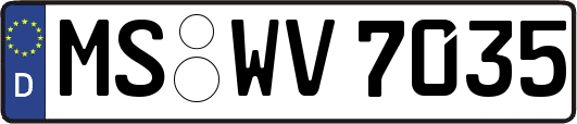 MS-WV7035