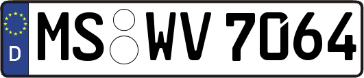 MS-WV7064