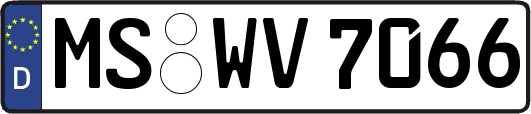 MS-WV7066