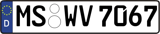 MS-WV7067
