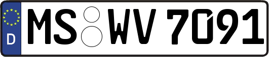 MS-WV7091