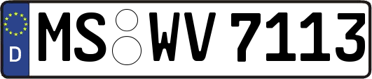 MS-WV7113
