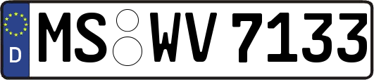 MS-WV7133