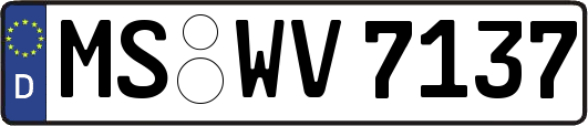 MS-WV7137